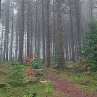 Vincenzo  Sammarro's Photo