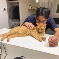 TOYOHARA YUTO's Photo