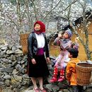 Trip : Jakarta-Hanoi,Sapa, Ha Giang, Ha Longbai's picture