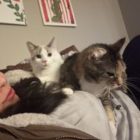 Merary Rangel的照片