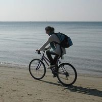 silva Masini's Photo