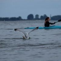 Anna Wagner的照片