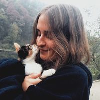 Zdjęcia użytkownika Carolina Ribeiro