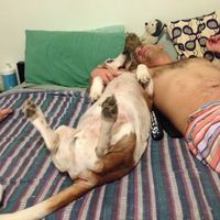 Noah Shelanski的照片