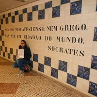 Joy Palmiero的照片