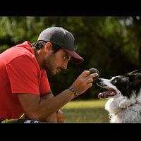 Mauro Munafo's Photo