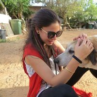 Sivan Zingi的照片