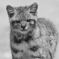 Osnar Ascurinaga Arteaga的照片