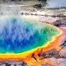 Roadtrip To Yellowstone 's picture