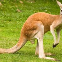 Edward Harik的照片