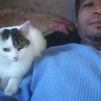 hamed moonlight的照片