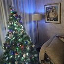  Kucna Bleja Za Novu God's picture