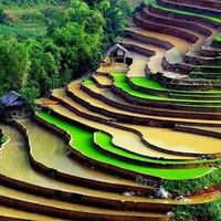 Фотографии пользователя Abdu Abdu