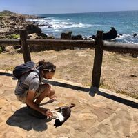 Josef Florian Micallef的照片