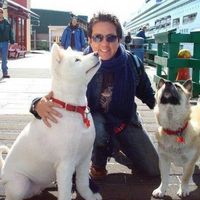 Le foto di Adrian Vaal