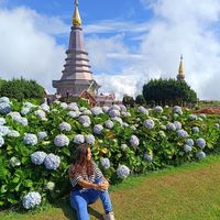 Paula Grimaldi's Photo