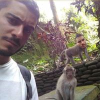 Mario Calicchia的照片