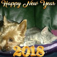 Marie Francoise de Massac的照片