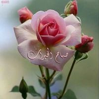 Saqr Al-ghamdi's Photo