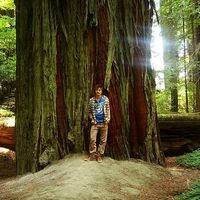 Christopher Robinson的照片