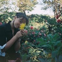 Ann Fiialka的照片