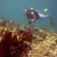 Mike Donahue's Photo