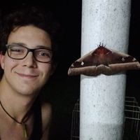 Frederic Mignon的照片