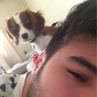 Aytac Ozalp的照片