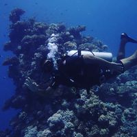 Fady Beshara's Photo