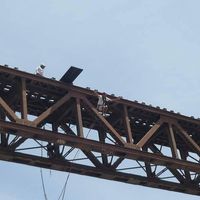 Javier Quispe's Photo