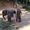 Ambra Pogliani's Photo