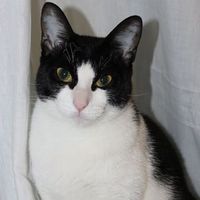 Photos de Maria Fernanda Glillotum