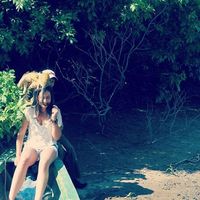 Zdjęcia użytkownika Carolina Costa Rei