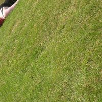 April McArdle的照片