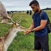 Fotos de João Carlos Dos Rei