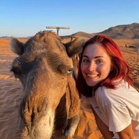 Фотографии пользователя Éva Békássy