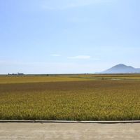 Фотографии пользователя Seonyeong Park