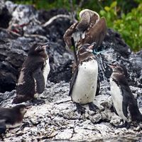 Fotos von Karla Torre