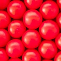 Fotos von Rachel Hsin