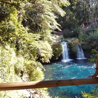 shoshana pahnas's Photo