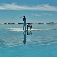 jesus Angel的照片