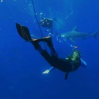 Photos de Kristina Loosen