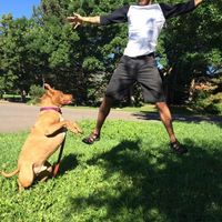 Zach Gardner的照片