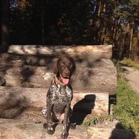 Fotos de Katharina Meyer