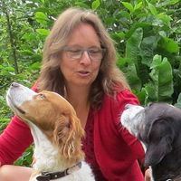 Ann Adriaenssens的照片