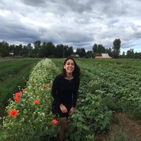 Ahrezoo Sadeghpour's Photo