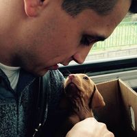 Fotos de Gergő Kosik