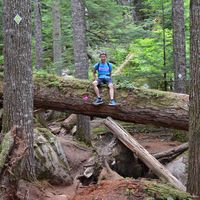 Vince Huynh的照片