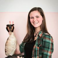 Petra Bogdalová's Photo