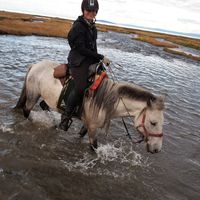 Katarzyna Dziembor的照片